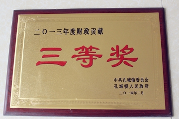 2013年度财政贡献三等奖