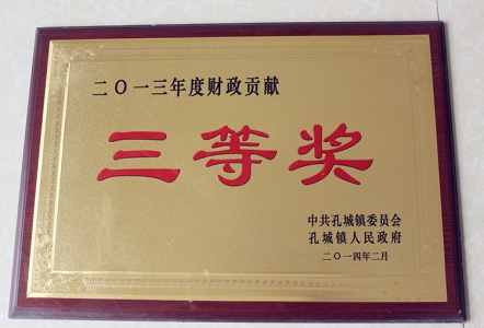 2013年度财政贡献三等奖