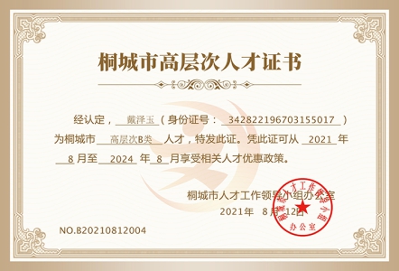 桐城市高层次人才证书