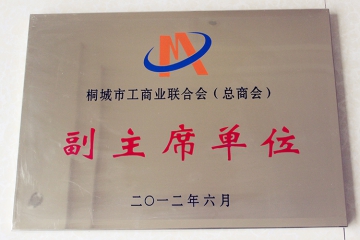 桐城市工商联合会副主席单位