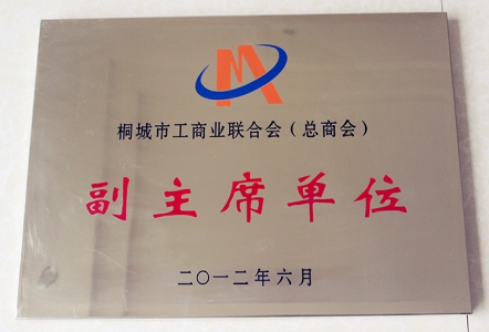 桐城市工商联合会副主席单位