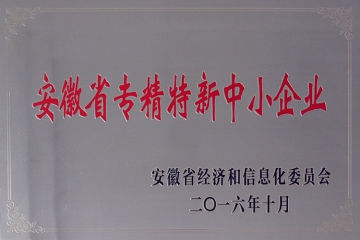 安徽省专精特新中小企业