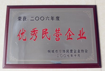 优秀民营企业