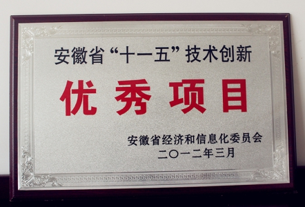 安徽省（十一五）技术创新优秀项目
