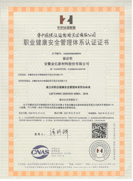 职业健康体系中文