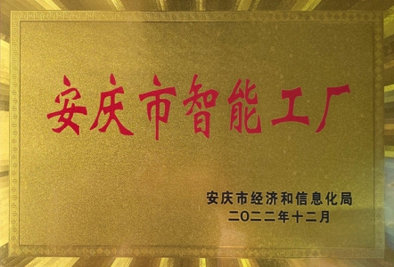 安庆智能工厂