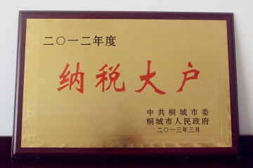 纳税大户