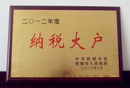 纳税大户