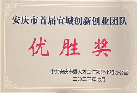 创新创业团队优胜奖