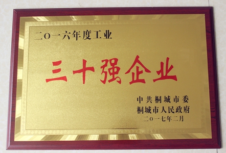 三十强企业