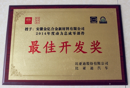 2014年比亚迪最佳开发奖