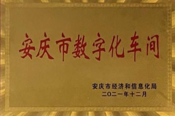 安庆市数字化车间