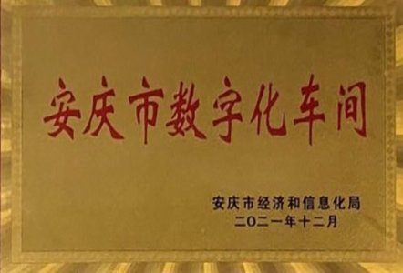 安庆市数字化车间